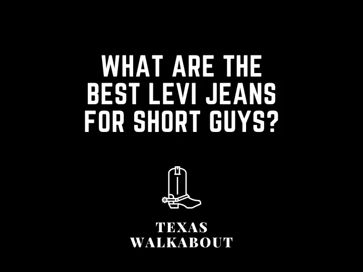 What Are the Best Levi Jeans for Short Guys?