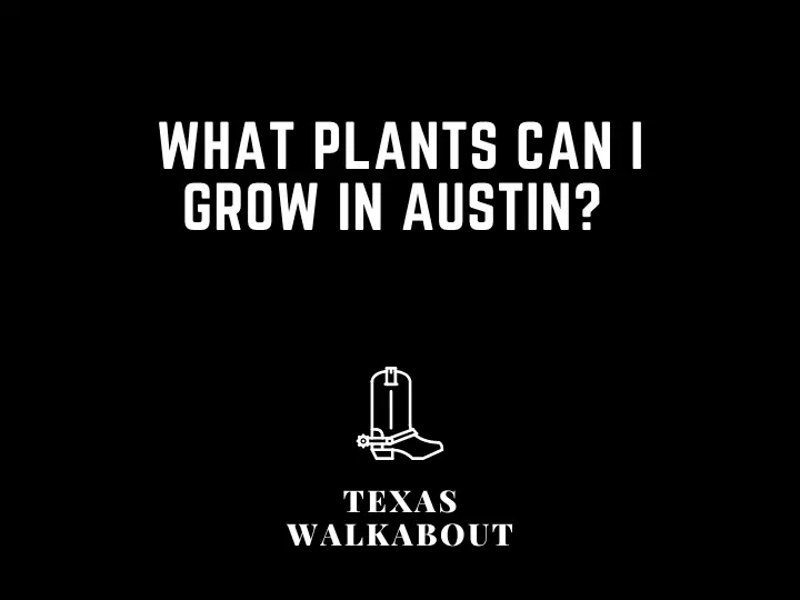 What plants can I grow in Austin? 
