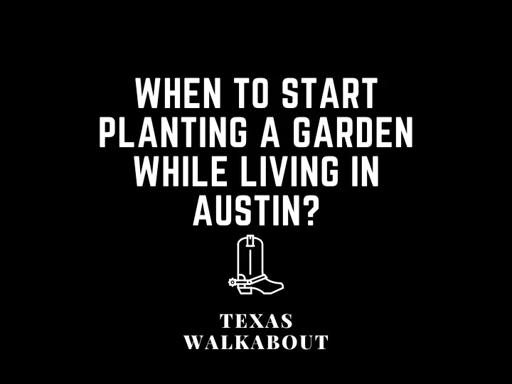 When to Start Planting a Garden While Living in Austin?