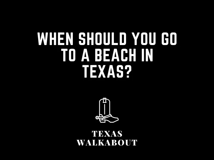 When Should You Go to a Beach in Texas?