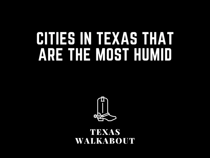 Cities in Texas that are the Most Humid