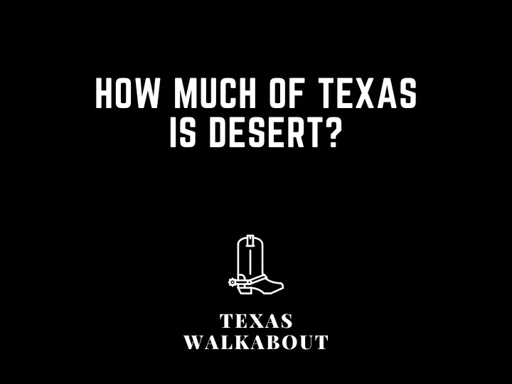 How Much of Texas is Desert?
