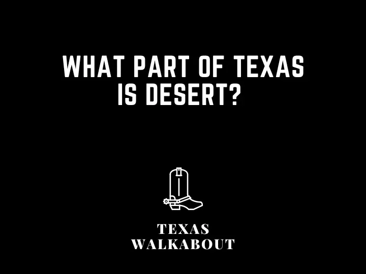What Part of Texas is Desert? 