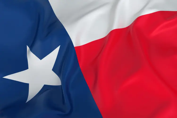 Majestic flag of Texas